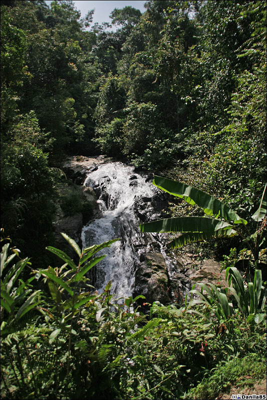 Водопад. Камерон-Хайлендс, Малайзия