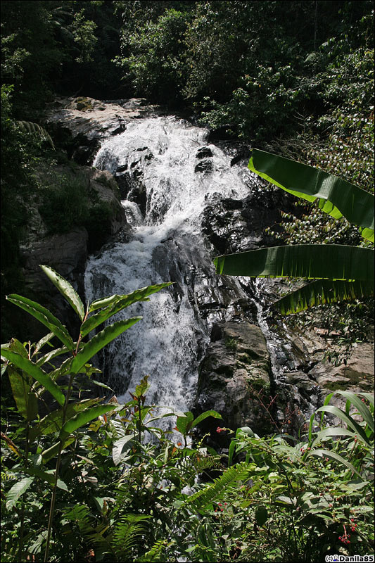 Водопад. Камерон-Хайлендс, Малайзия
