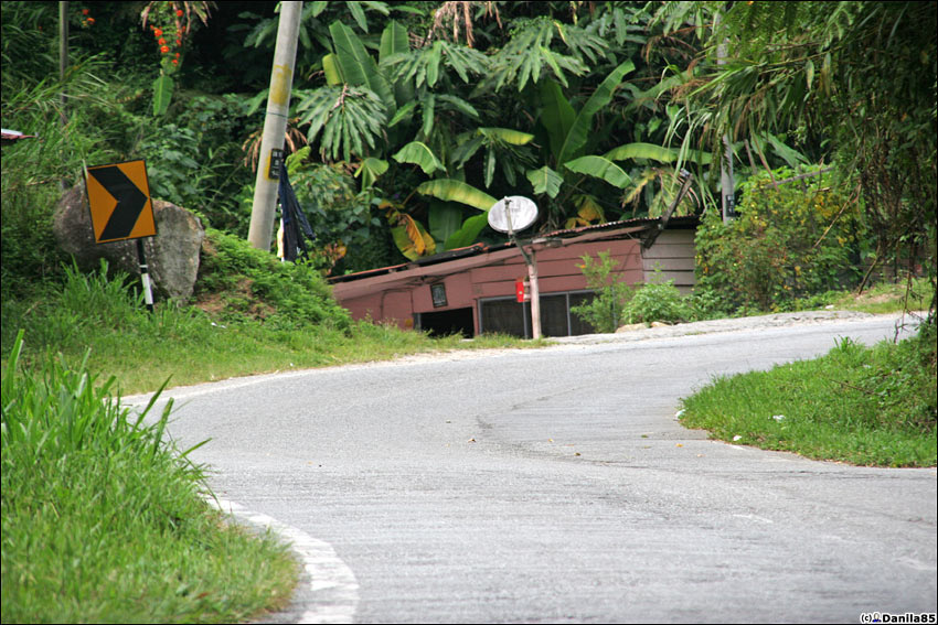 Странные фото из Cameron Highlands Камерон-Хайлендс, Малайзия