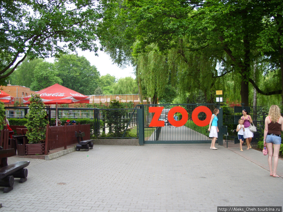В Краковском зоопарке Краков, Польша