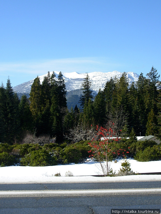Окресности горы Шаста зимой Штат Калифорния, CША