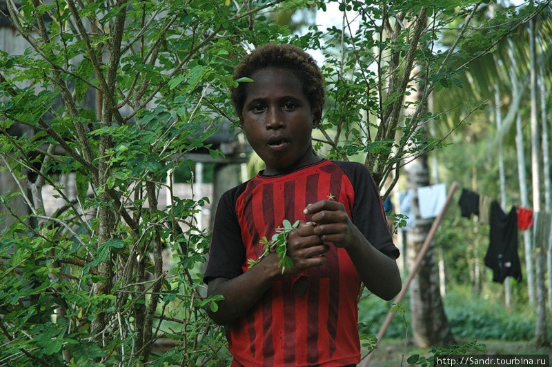 Жертвы цунами Провинция Сандаун, Папуа-Новая Гвинея