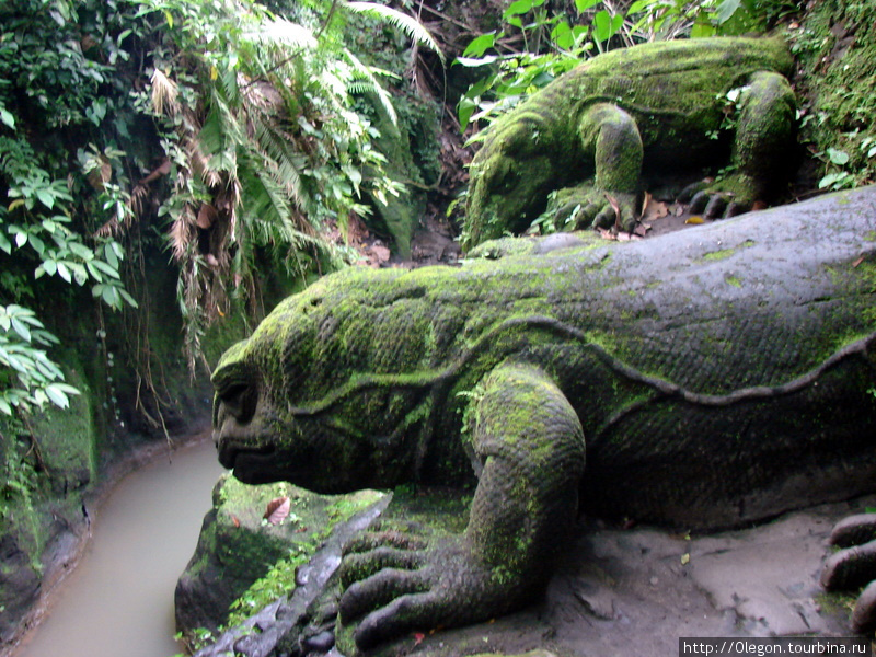 Комодо, ящеры-драконы Убуд, Индонезия
