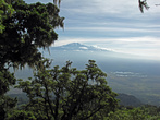 Редкий момент прояснения.
 Килиманджаро и нац. парк Аруша.
