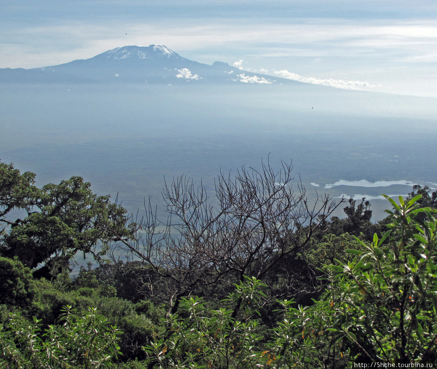 Вид на Килиманджаро с высоты около 3000 метров Аруша Национальный Парк и гора Меру (4566м), Танзания