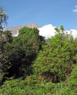 Вершина Меру. Вид с хижины Мариакамба (2500 м.).