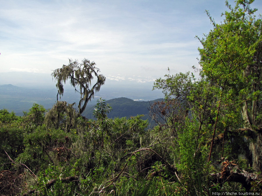 внизу нац. парк Аруша Аруша Национальный Парк и гора Меру (4566м), Танзания