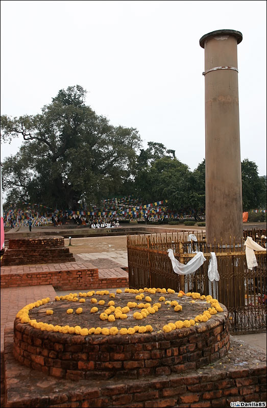 колонна Императора Ашоки, вернувшего буддизм в Непал, II век до н. э Лумбини, Непал
