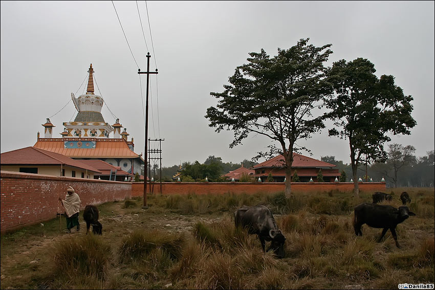 кому храмы, а кому хозяйственная деятельность Лумбини, Непал