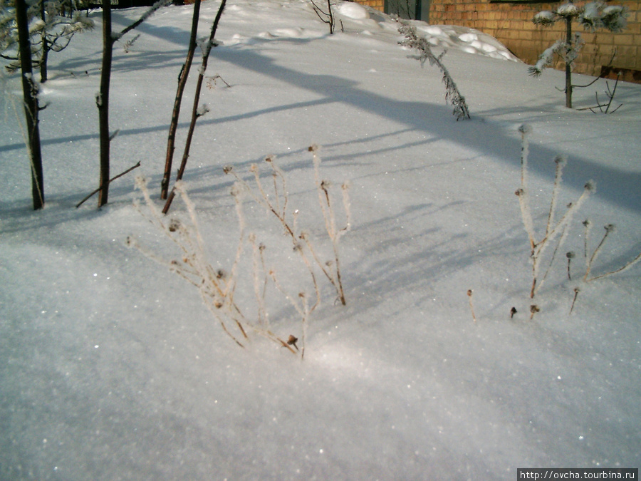 Снег. Кругом снег. Усинск, Россия