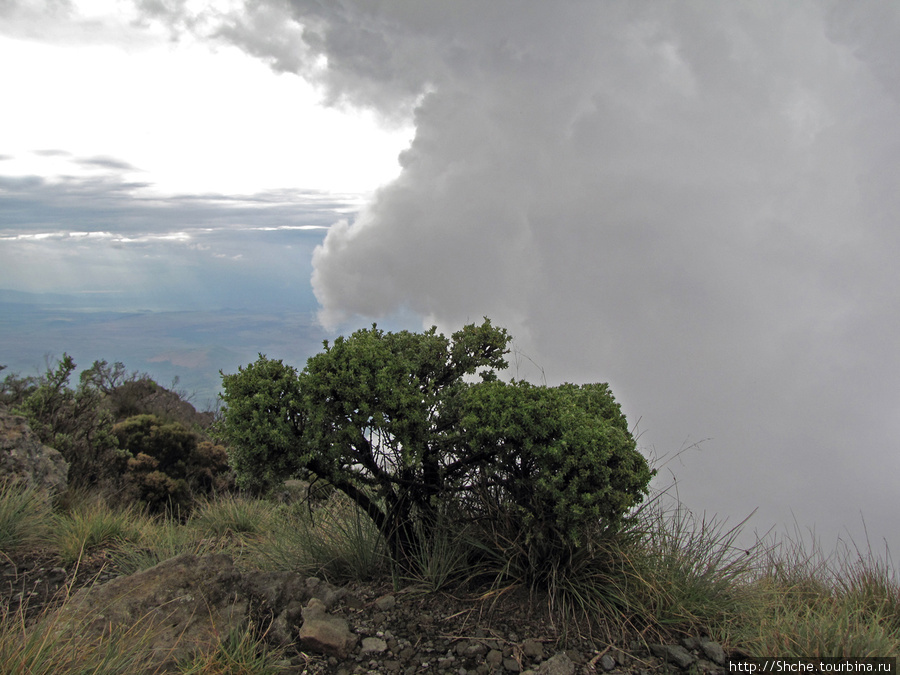 Снова здравствуй, облако Аруша Национальный Парк и гора Меру (4566м), Танзания