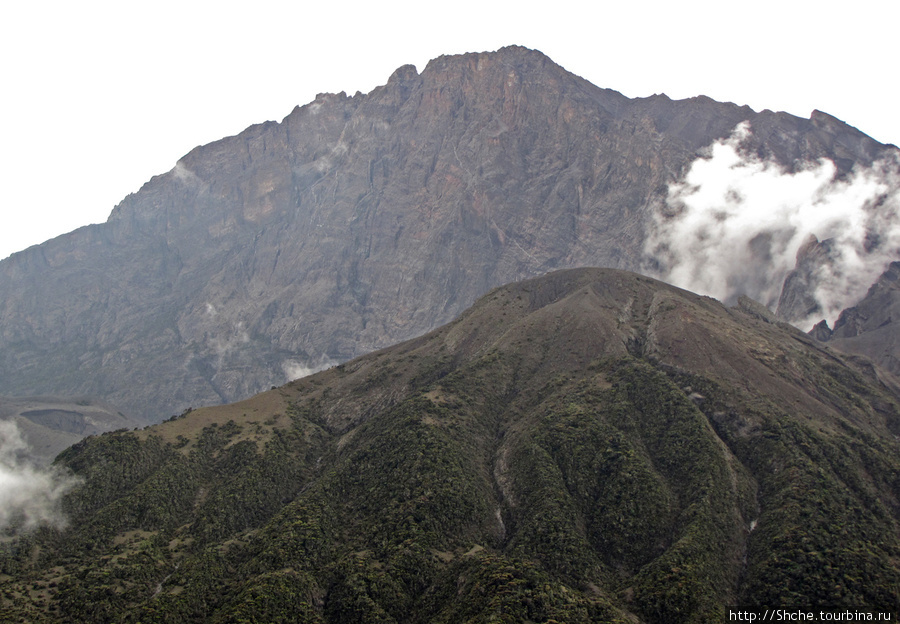 Little Meru — первая вершина Аруша Национальный Парк и гора Меру (4566м), Танзания