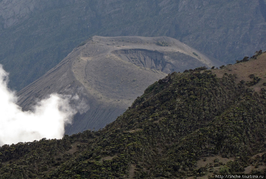 Новый кратер, вид с Little Meru. Аруша Национальный Парк и гора Меру (4566м), Танзания