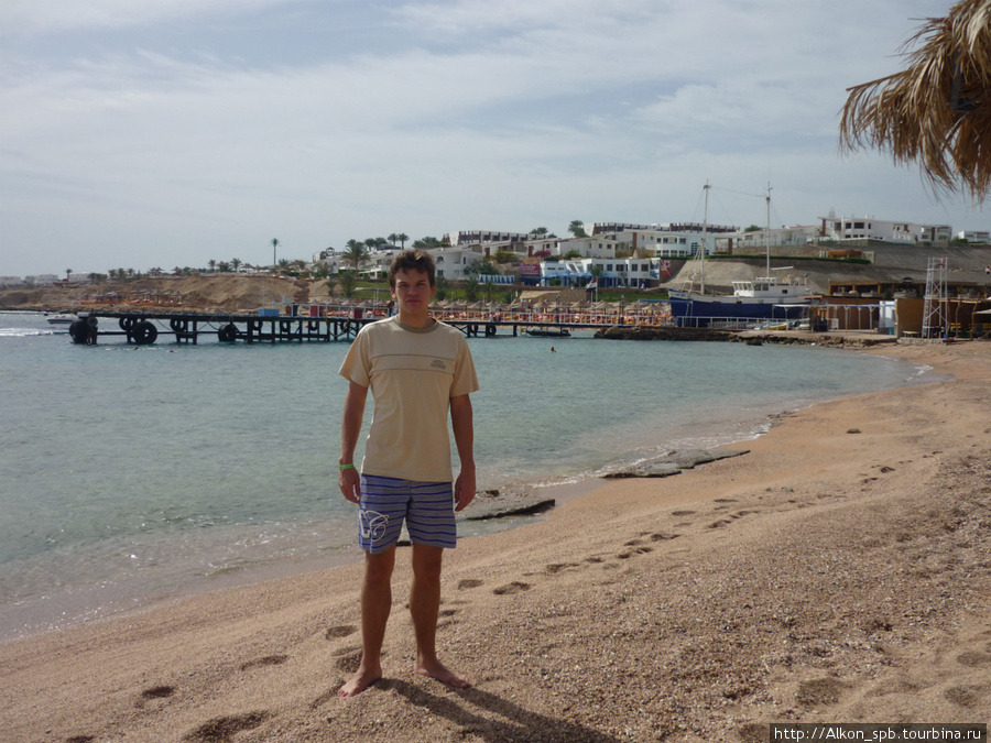 Sharks bay - один из лучших пляжей в Шарме Шарм-Эль-Шейх, Египет