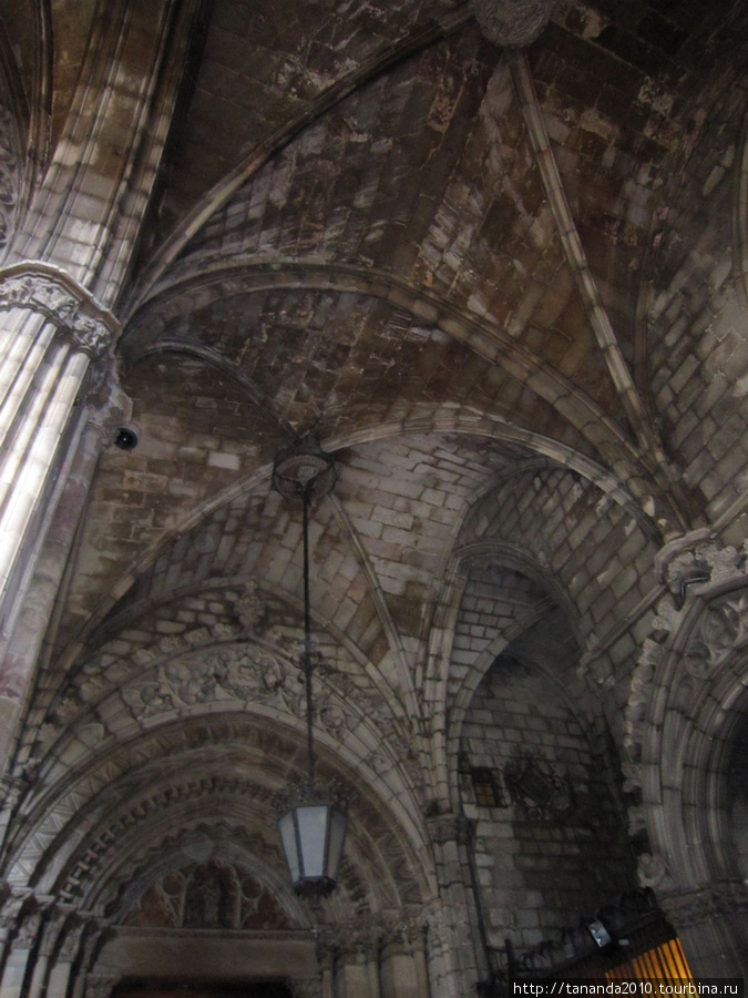 Гуси в кафедральном соборе Барселона, Испания