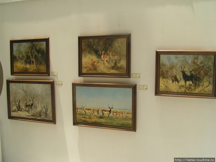 Животные с картин Лусака, Замбия
