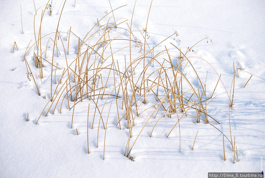 Если присмотреться, соломинки из снега создают отличную абстрактную композицию. Великий Новгород, Россия