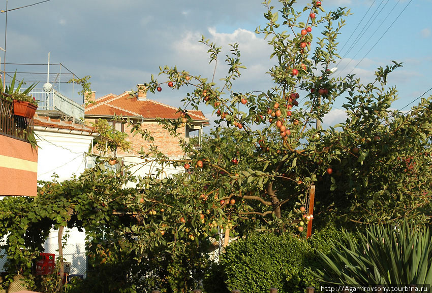 Болгария 2007. Курортный городок Обзор. Обзор, Болгария