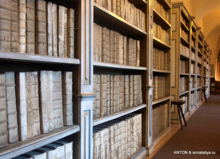 Шкафы со старинными книгами Прага, Чехия