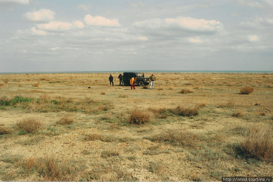 Куда ни посмотри-то степь здесь,то пески Барсакельмесский заповедник, Казахстан