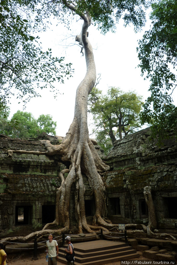 ANGKOR Ангкор (столица государства кхмеров), Камбоджа