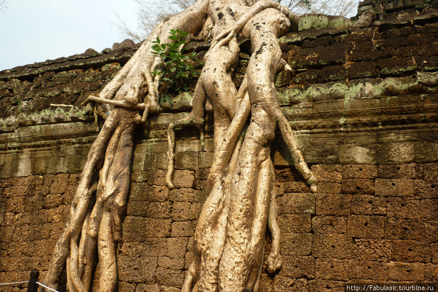 ANGKOR Ангкор (столица государства кхмеров), Камбоджа