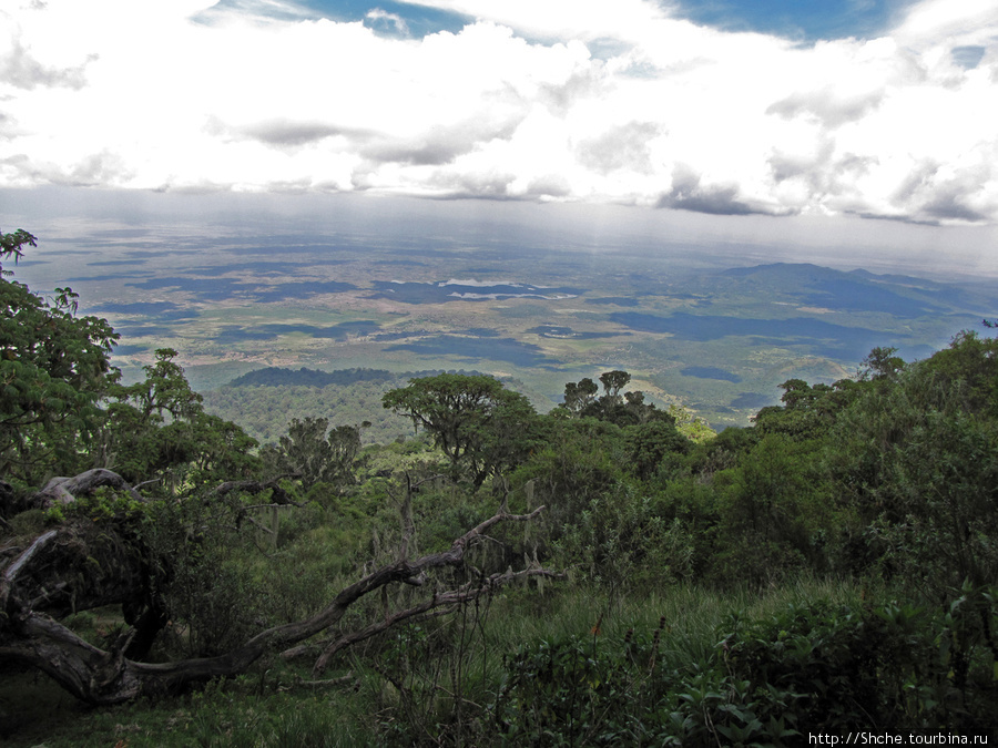 Нац парк Аруша с высоты птичьего полета. Гора Меру Лесной Заказник, Танзания