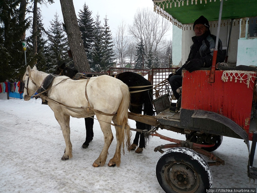 Вру,я не садилась в этот дилижанс,жалко было тощих лошадок! Бакуриани, Грузия