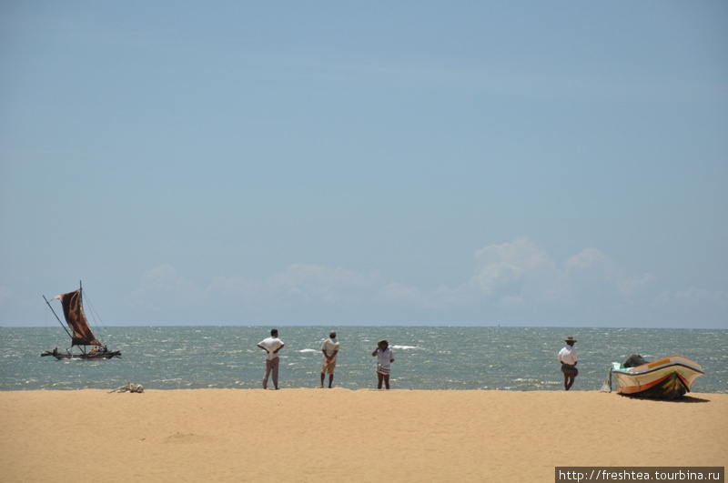 Одни рыбу ловят с катамарана, другие — на берегу — смотрят, как у них это получается... Шри-Ланка