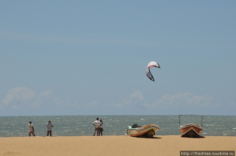 Кайтинг наконец добрался и до Шри-Ланки: летающих над водой отважных парней можно видеть влодь пляжей Негомбо. В марте, так точно. Шри-Ланка