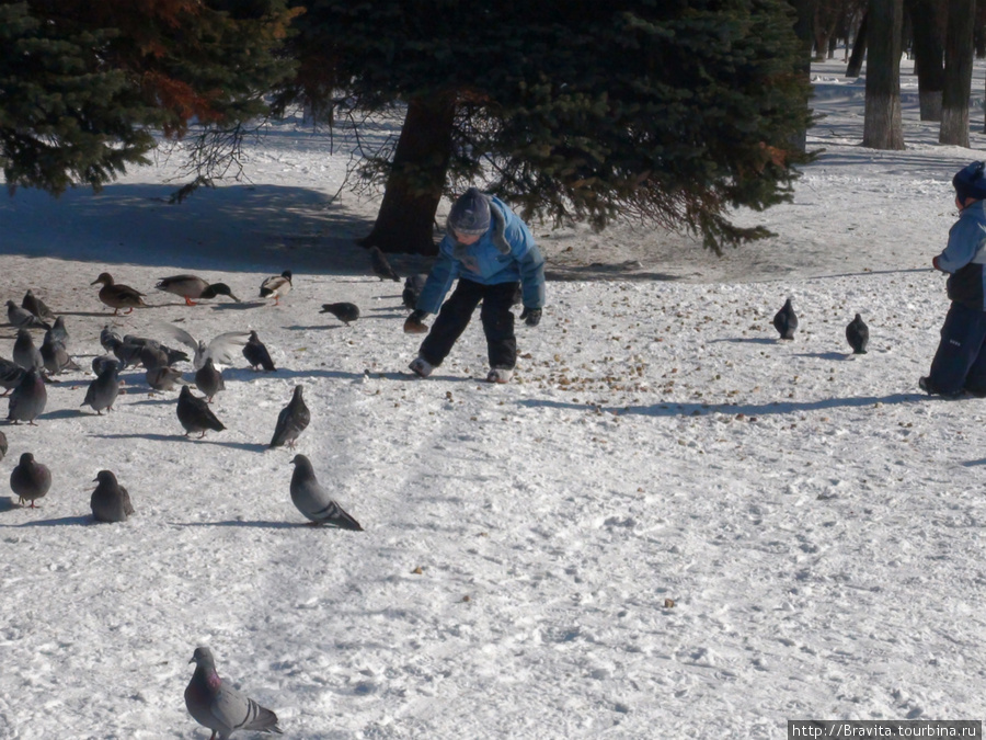 Неподалеку от памятника детишки кормят уток и голубей Тверь, Россия