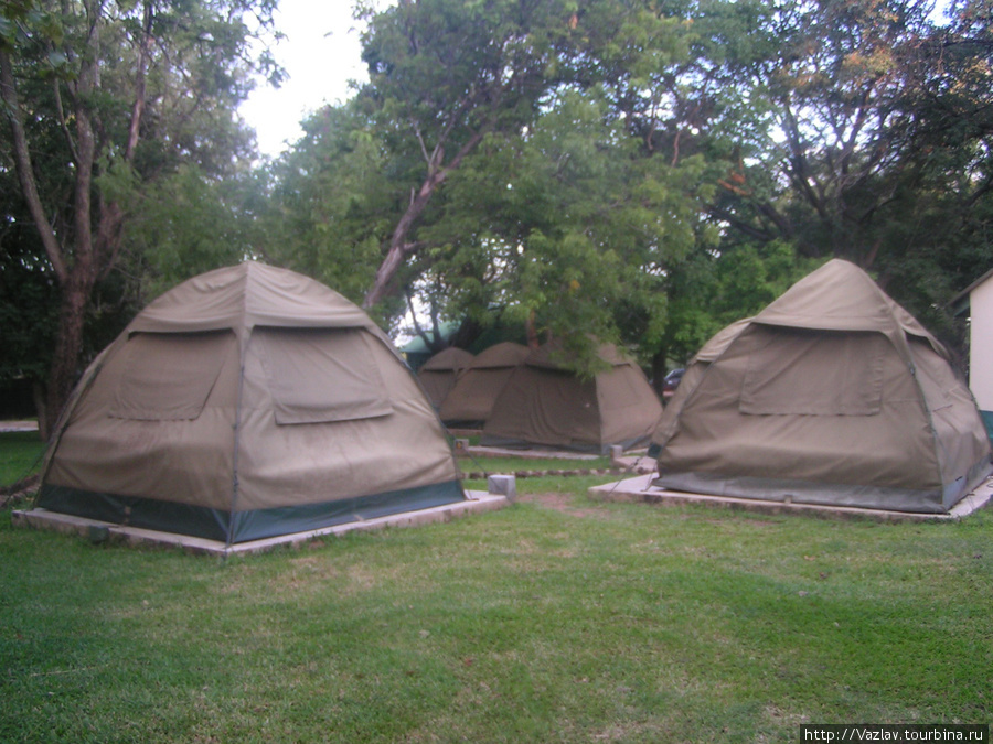 Палатки стоят как грибы после дождя Виктория-Фоллс, Зимбабве