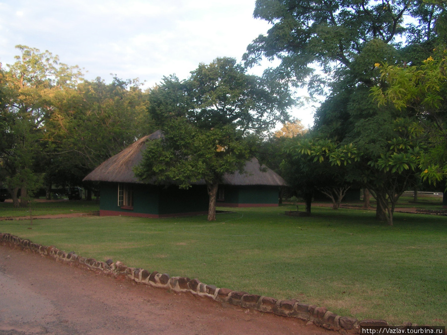 В тени деревьев Виктория-Фоллс, Зимбабве