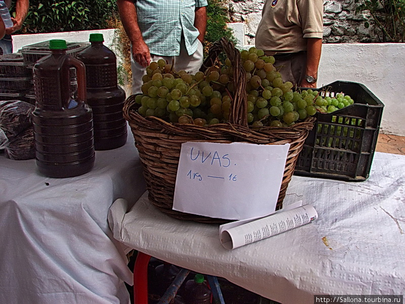 Виноград москатель в сентябре Малага, Испания