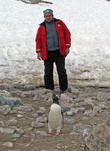вот он рядом, но дотронутся к пингвину я так ни разу не смог. Да и нельзя их трогать, слово давал.