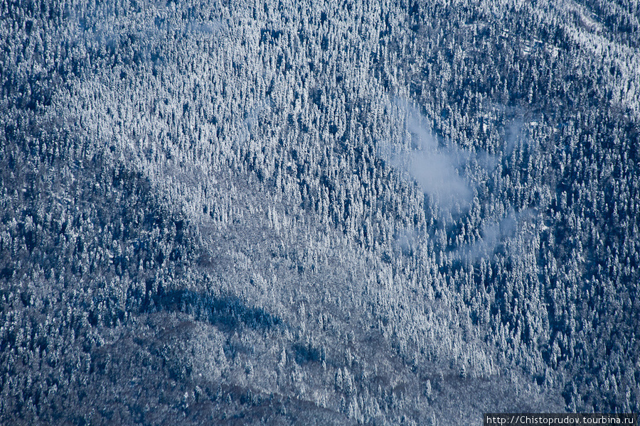 Катание на склонах горнолыжного комплекса «Альпика-Сервис» Красная Поляна, Россия