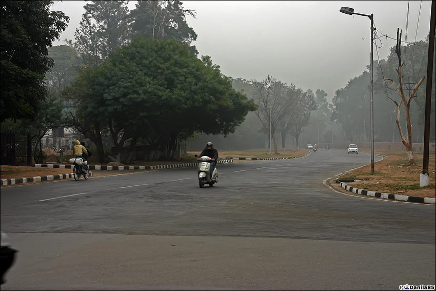 Все перекрёстки сделаны с круговым движением. Мудрое решение, индийцы не соблюдают сигналы светофоров. Чандигарх, Индия