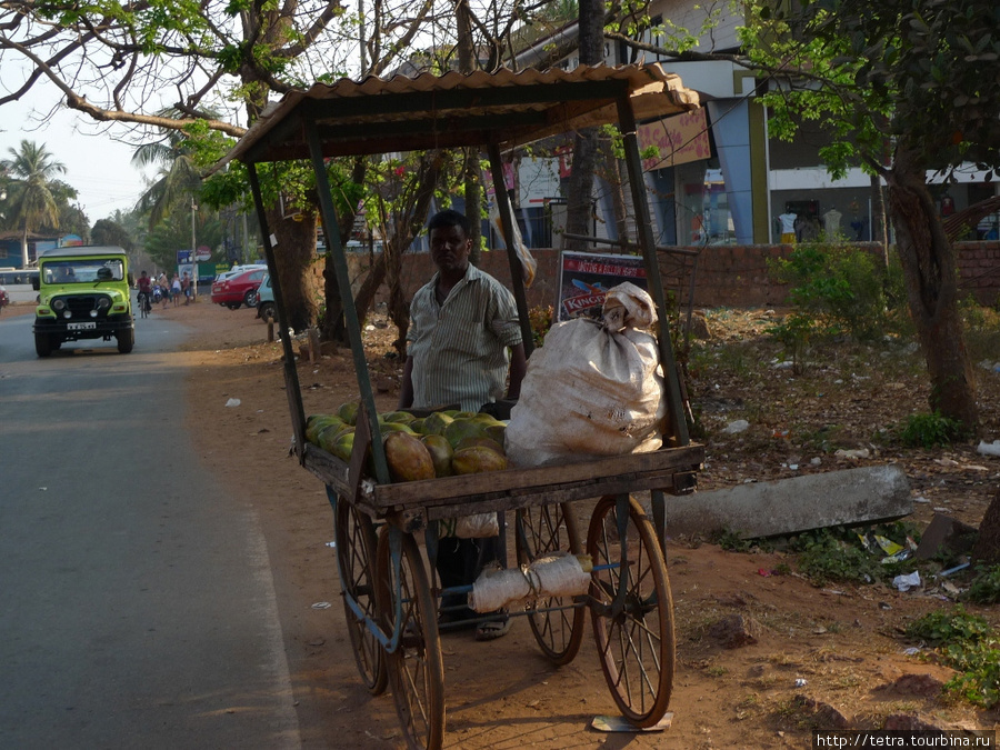 Incredible India Калангут, Индия