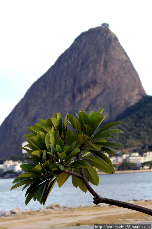 гора Сахарная голова Рио-де-Жанейро, Бразилия