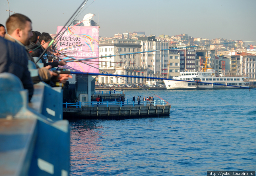 Карточка, которую делает любой турист в Стамбуле зимой-весной Стамбул, Турция
