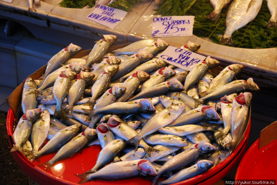 Рыбный базар Стамбул, Турция