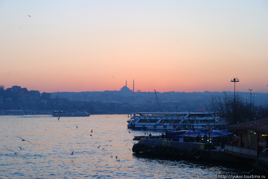 Фиолетовое Стамбул, Турция