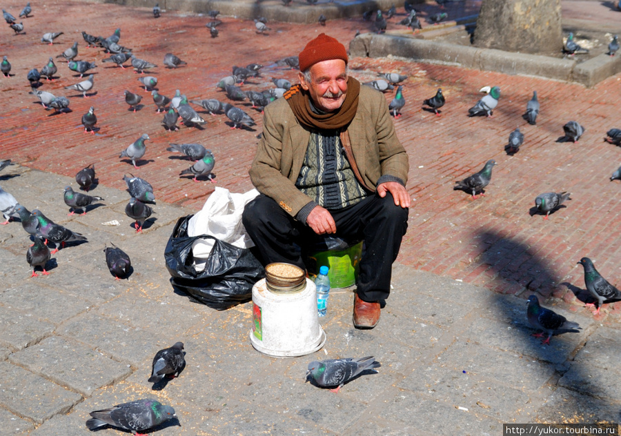 Старик и голуби Стамбул, Турция