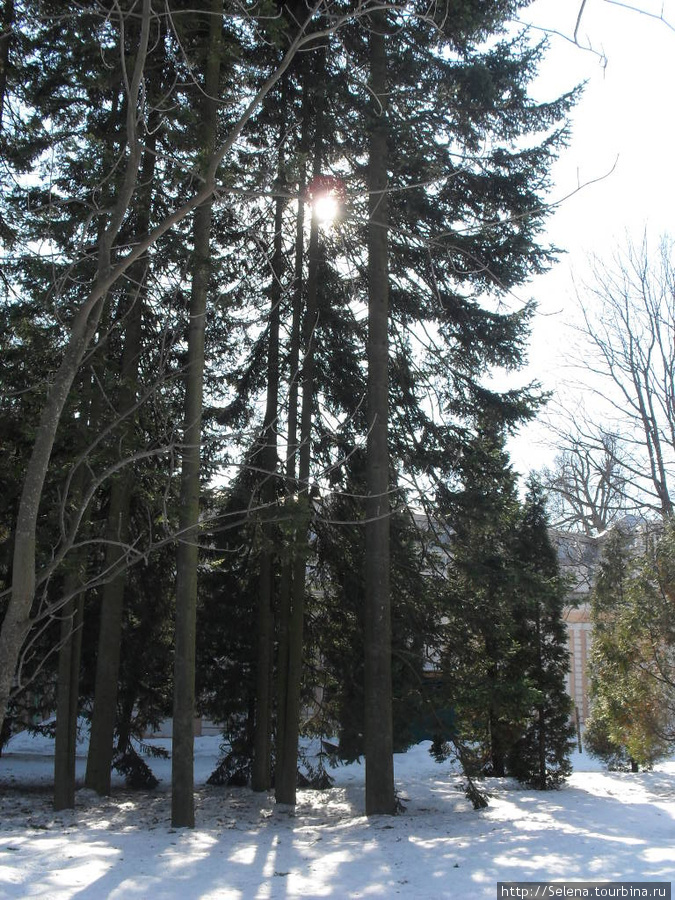 Петергоф. Нижний парк зимой. Петергоф, Россия