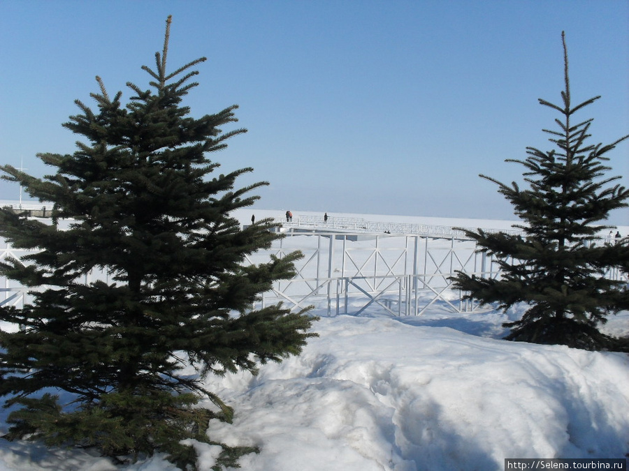 Петергоф. Нижний парк зимой. Петергоф, Россия