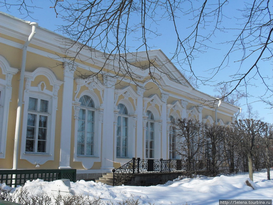 Петергоф. Нижний парк зимой. Петергоф, Россия