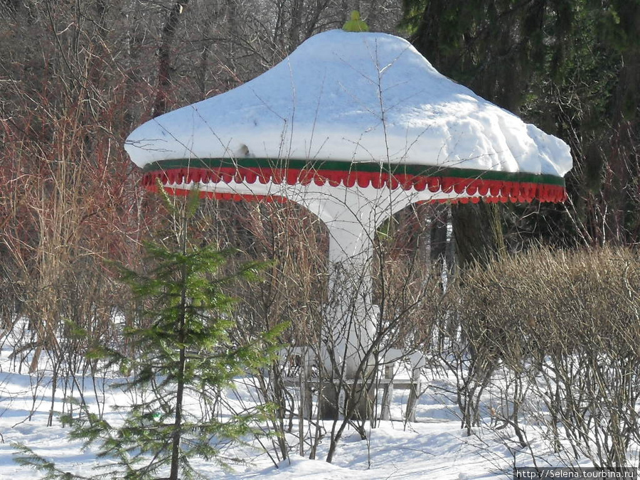 Петергоф. Нижний парк зимой. Петергоф, Россия