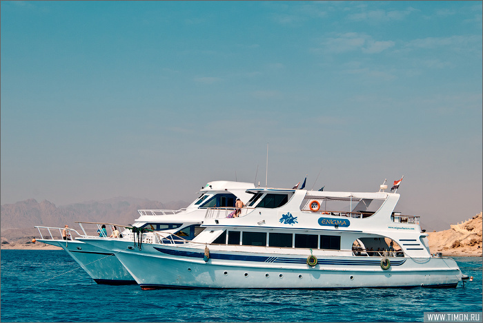 Экскурсия на лодке с прозрачным дном Шарм-Эль-Шейх, Египет