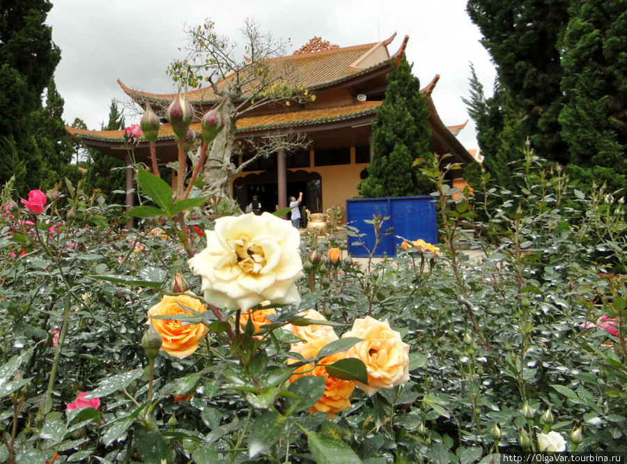 Храмовый комплекс Тхиенвиен — это скорее цветущий сад с вкраплениями пагод Далат, Вьетнам