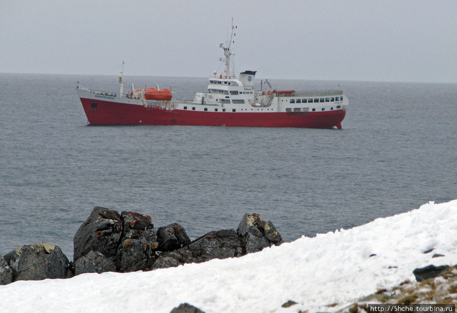 Наш корабль терпеливо ждет Остров Роберта, Антарктида